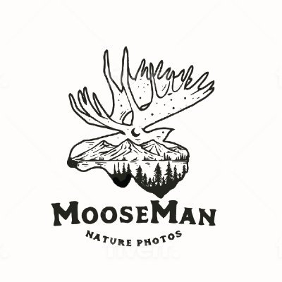 Video and Photography from MooseMan Nature Photos featuring the great Moose of Alaska and New England, Bears, Loons, Cardinals & much much more!