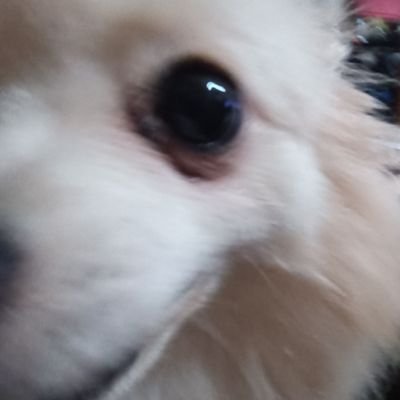 レムさんのプロフィール画像