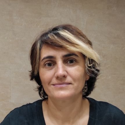 Prof. of Inorganic Chemistry
INAM - Universitat Jaume I.
President of the International Sol-Gel Society (ISGS)