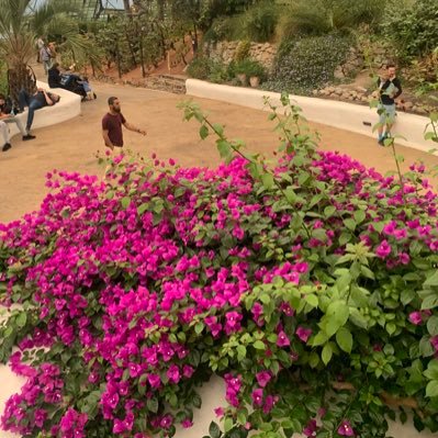 smileykicks's profile picture. 