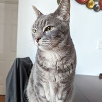 DamnToby (@damnittoby007) 's Twitter Profile