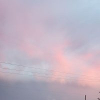 Dria (@alondriab) 's Twitter Profile