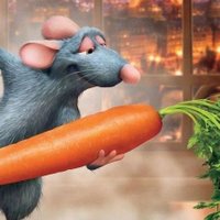 bobi (@mynameisbobisoy) 's Twitter Profile