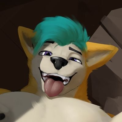 KyleTheAkitaさんのプロフィール画像