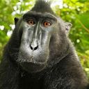 Darrell Phipps - @punkpal - Twitter