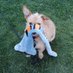 DOGE (@netbum1) Twitter profile photo DOGE (@netbum1) Twitter profile photo