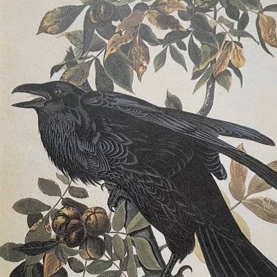 sockdrawer08's profile picture. 14 // queer // system // alterhuman