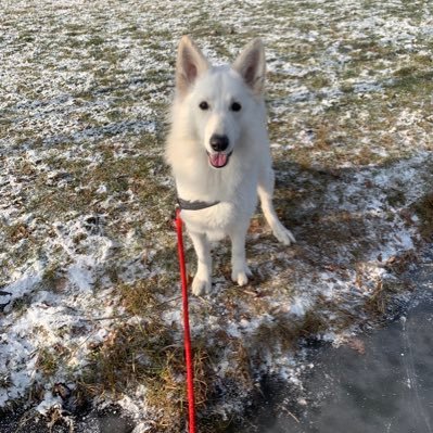 holek91's profile picture. 