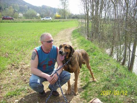 triker9's profile picture. 1985 von der Hauptschule in die Lehre gegangen und seit 1985 bis 2013 in einer Firma, danach gewechselt und bis dato immer noch gleisbau