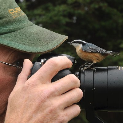 I am Jan Luit i enjoy nature photography.
Being out in nature and see what i meet on my way.
https://t.co/gjobiDmtqm NO DM
#AYearForArt  #NaturePhotography