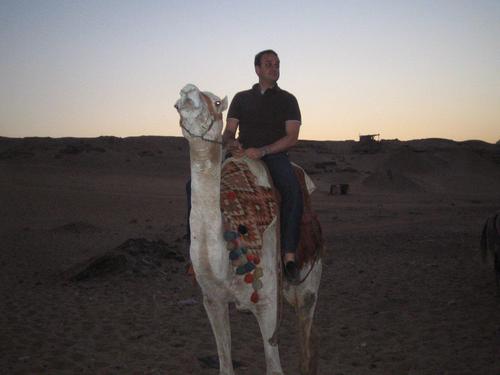 alexadam2's profile picture. 