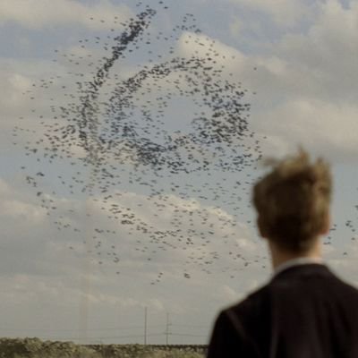 PerreoCosmico's profile picture. mierdas de mis proyectos, a veces hablo sobre mi persona también