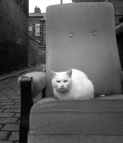 miumudou's profile picture. re: everything - browse stop stare move on