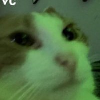 . (@greicebc_) 's Twitter Profile