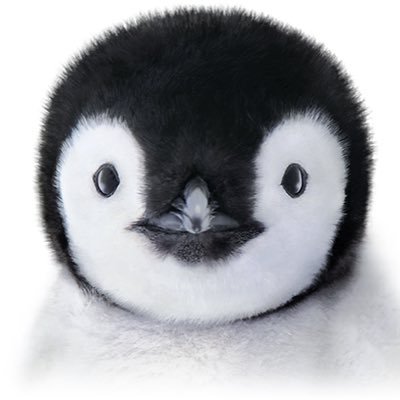 mh_aibf's profile picture. aiko···▸彼女の頃からジャンキー♡一生憧れ一生推し🌻BE:FIRST···▸ザストから沼♡マナト寄りからのソウタも追加されちゃいました🐧🐬ソウマナSMS🫧🐧🐬3つ子含む4人の母でもあります🙋🏻‍♀️敬語の方には敬語でタメ語の方にはタメ語にさせてもらってます⺣̤̬♥