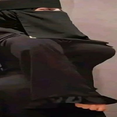 حافظه لكتاب الله
داعيه للحق والسلام
مناضله ضد اى تعصب دينى