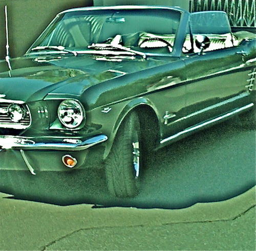 The real pony car