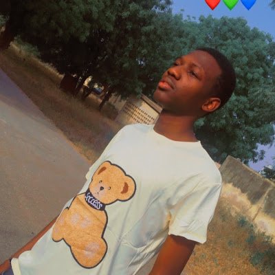 eazi_blinks's profile picture. Frontend Developer