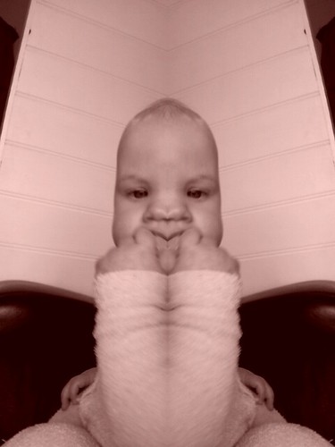 salsypetal's profile picture. 