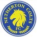 @NethertonColtsSeniorsFC (@nethertoncolts1) Twitter profile photo @NethertonColtsSeniorsFC (@nethertoncolts1) Twitter profile photo