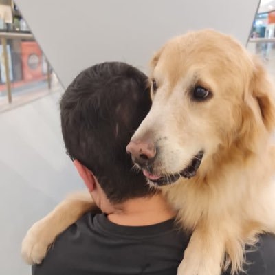 bostilguaranil's profile picture. 