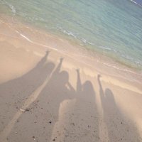 ゆう。 (@06251017) 's Twitter Profile