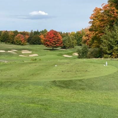 Grove1969's profile picture. 