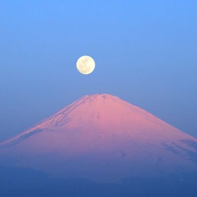 p01se2's profile picture. poise