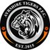 Ayrshire Tigers Powerchair Football Club SCIO (@Tigers_PFC) Twitter profile photo