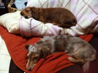 junkichi519's profile picture. 萬相談受けすぎて自分の事がいつも後回し