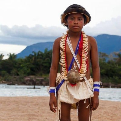 VzlaIndigenas's profile picture. En defensa de la Unidad de los Pueblos Indígenas.
"Somos los Pueblos Indígenas de Chávez y Nicolás Maduro"