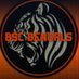 BSCBengalsNichols_softball (@BSCBengalsNich1) Twitter profile photo