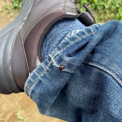 kepokyuko's profile picture. 原付でツーリングに目覚め中型免許取得！  400xと共に色々な所に走りたい！(願望)