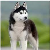 EEengineering51's profile picture. 