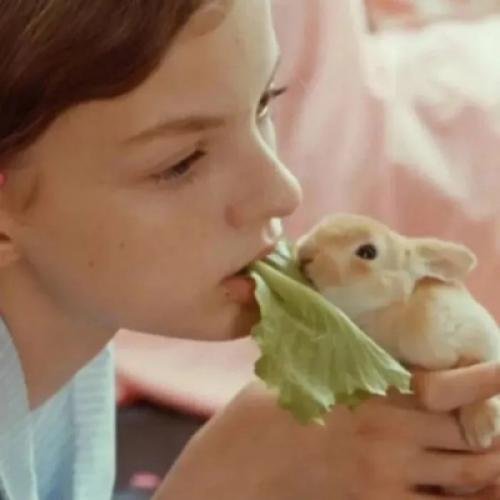 CecilMotley1's profile picture. 