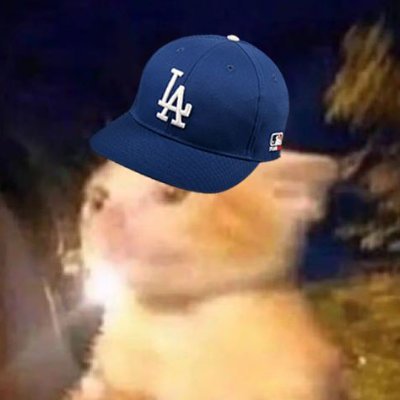 Dodgers and MMA fan -  Developer, Music Producer, Illustrator, Finance Goomba, Baseball Card Hobbyist, Stray Cat Papa