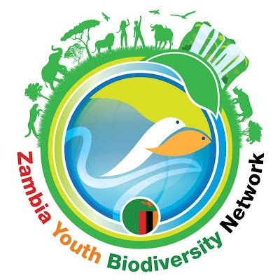 We are the Youths non- profitable organization that are aimed at educating, conservaing and restoring biodiversity in Zambia. We're a subsidiary of GYBN & CBD.