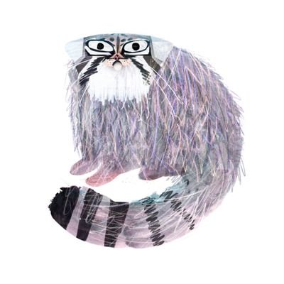 cave_vulpem's profile picture. 