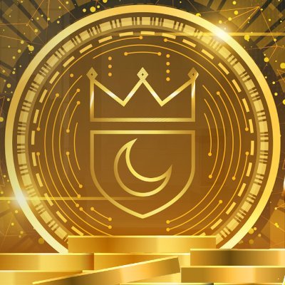 KingFundFinance Profile Picture