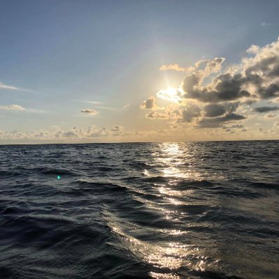 freciarsinoe's profile picture. she/her