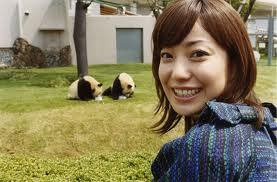 niko2rabbit's profile picture. 