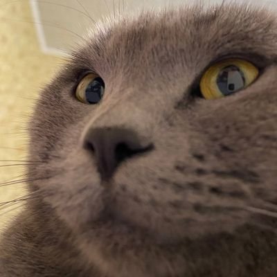 bo_alek's profile picture. 