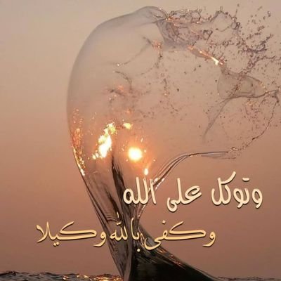 anwer492's profile picture. 