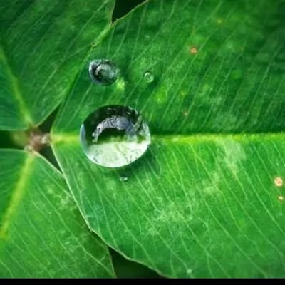 AcilDwinur's profile picture. 