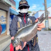 Kota (@yokotafishing) 's Twitter Profile