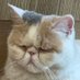 i-ko (@me15_777) Twitter profile photo i-ko (@me15_777) Twitter profile photo