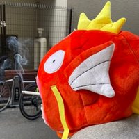 ぬまもん (@coro_mer) 's Twitter Profile