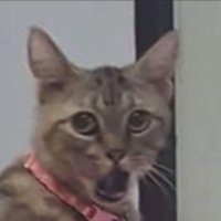 jika kau senang hati (@injaksemuttttt) 's Twitter Profile