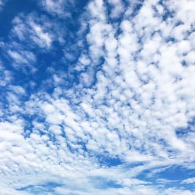 373さんのプロフィール画像
