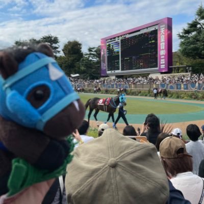 競馬🏇第五人格🎮 予想配信もやってるよ！2022.10.16東京ハイジャンプ、2022.12.24中山大障害、2024.1.9ヴェルサイユファームでオジュウチョウサンに会えました。#HZKEIBA #ZETAWIN